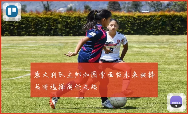 意大利队主帅加图索面临未来抉择或将选择离任之路